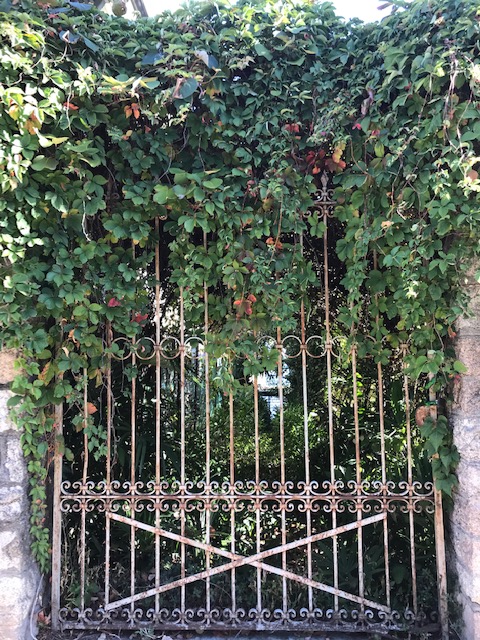 つたの茂る門　イタリアのストレーザ