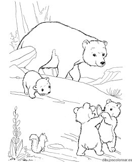 Cute Baby Bear At Forest Coloring Pages Cute Baby Bear At Forest Coloring Pages