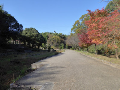 【大阪府枚方市】山田池公園・秋の紅葉ウォーキング