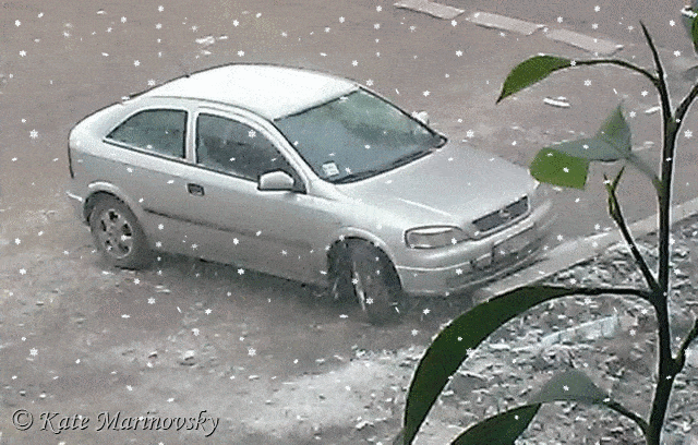 Grey Car and Green Lemon Car in the snowing weather