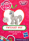 My Little Pony Wave 14B Twilight Sky Blind Bag Card