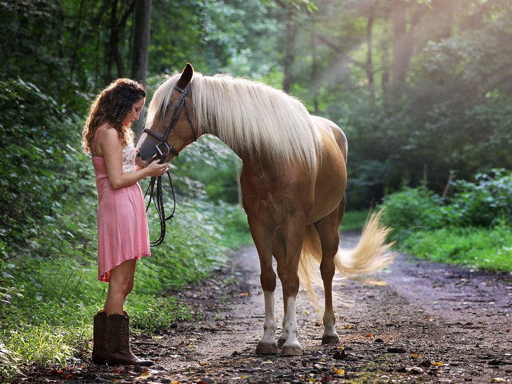 A Simple Guide To Buying Your First Horse The Diary Of A Jewellery Lover