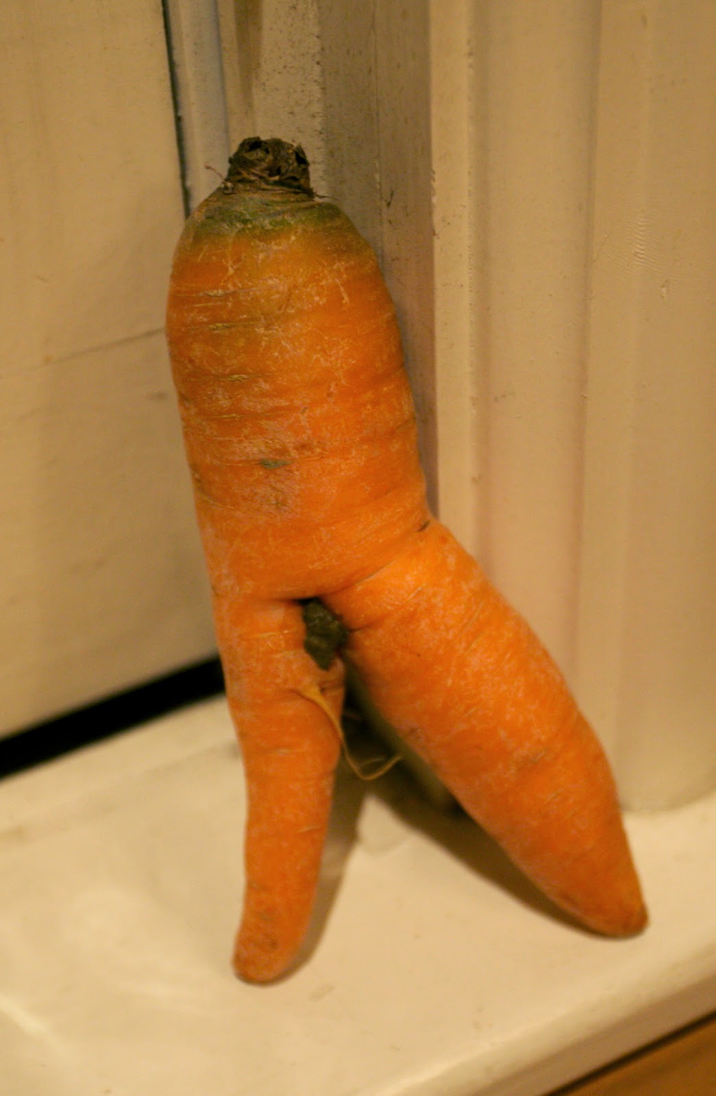 Carrot Porn 66