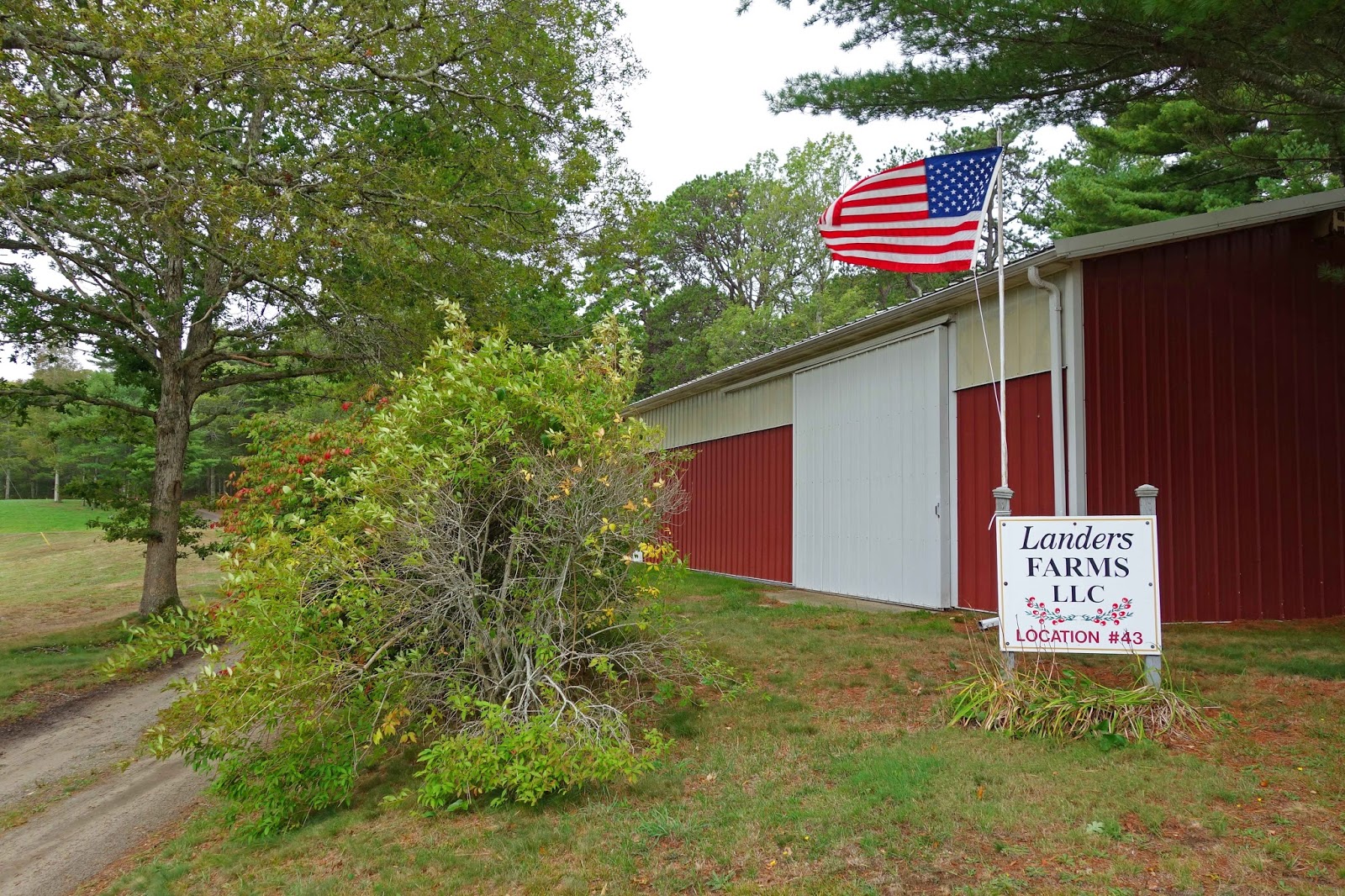 Joe's Retirement Blog Cranberry Harvest, Landers Farms, Ellisville