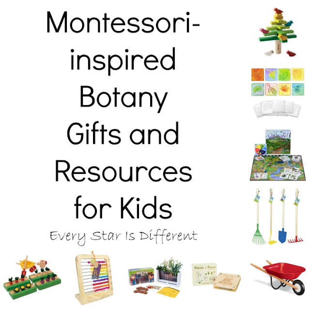 Montessori-inspired Botany Gifts and Resources for Kids