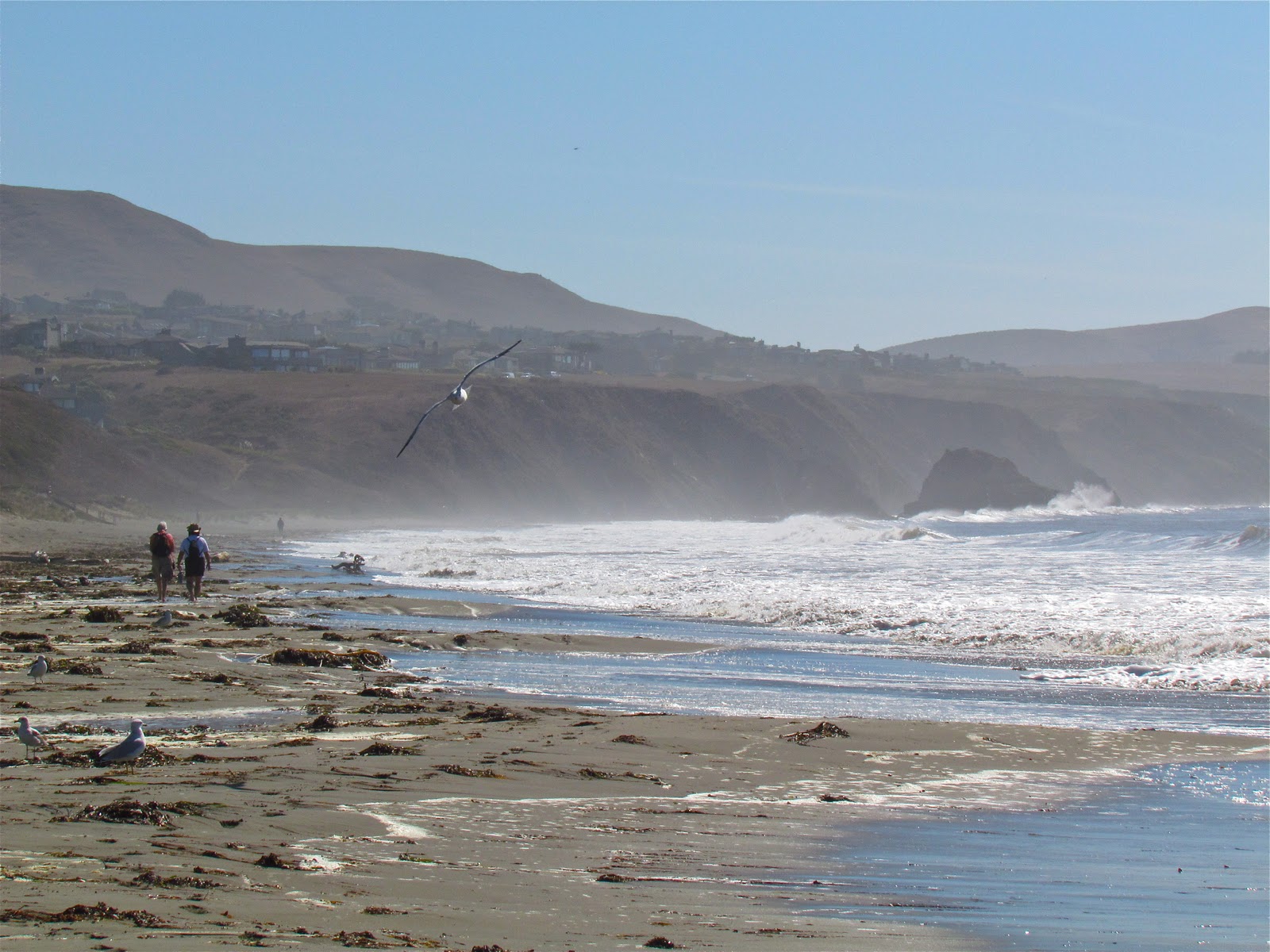 Mama Loves the Beach! Bodega Bay Surfers