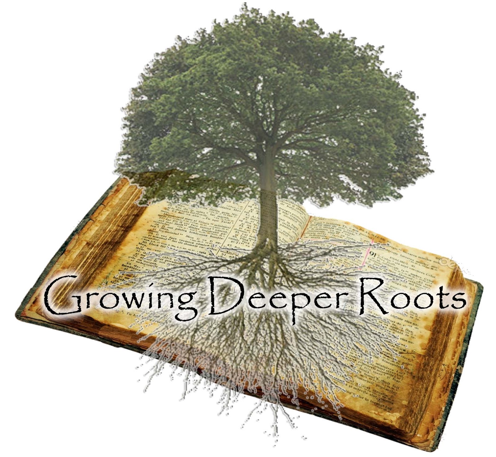 Growing Deeper Roots Bible Reading Post 4 Our Heart And HomeOur 