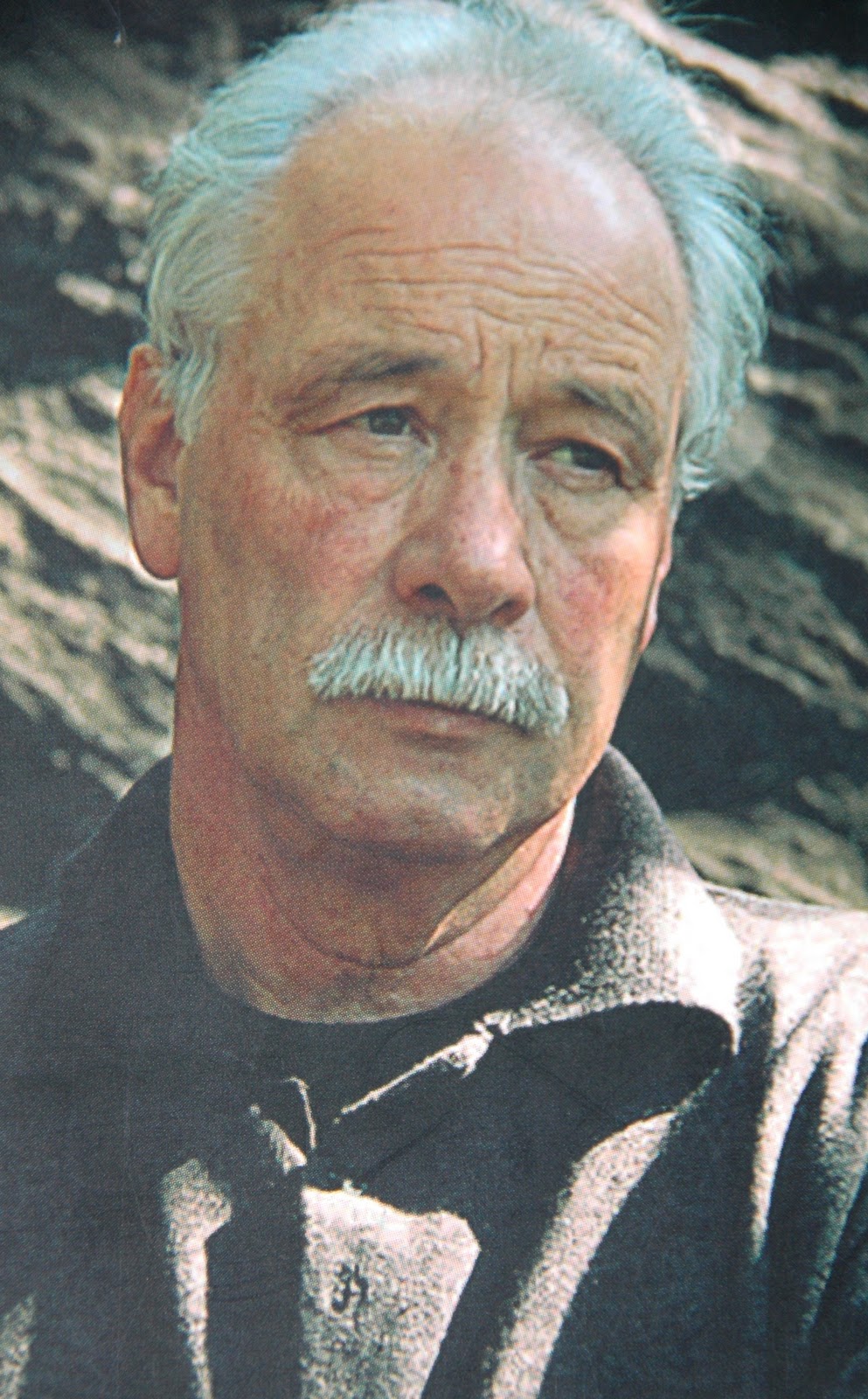 Idiomas olvidados: HOMENAJE A W.G. SEBALD
