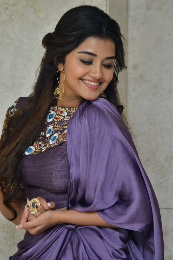 Anupama Parameswaran at Hello Guru Prema Kosame Success Meet