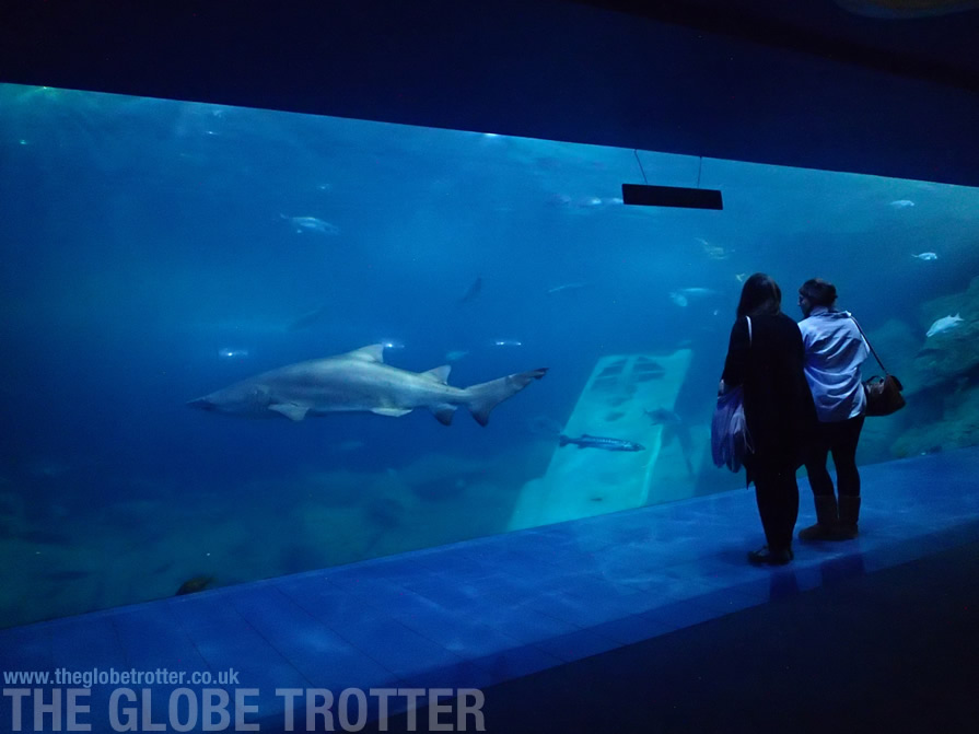 The National Marine Aquarium in Plymouth The Globe Trotter