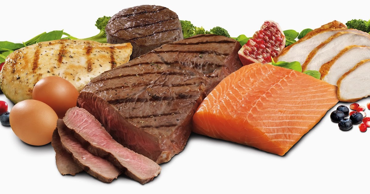 High Protein (Animal , Plant & Dairy Protein Foods)