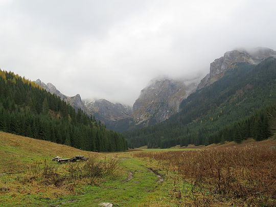 Dolina Małej Łąki. Dolina Małej Łąki.