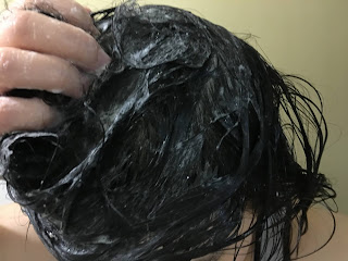 試用