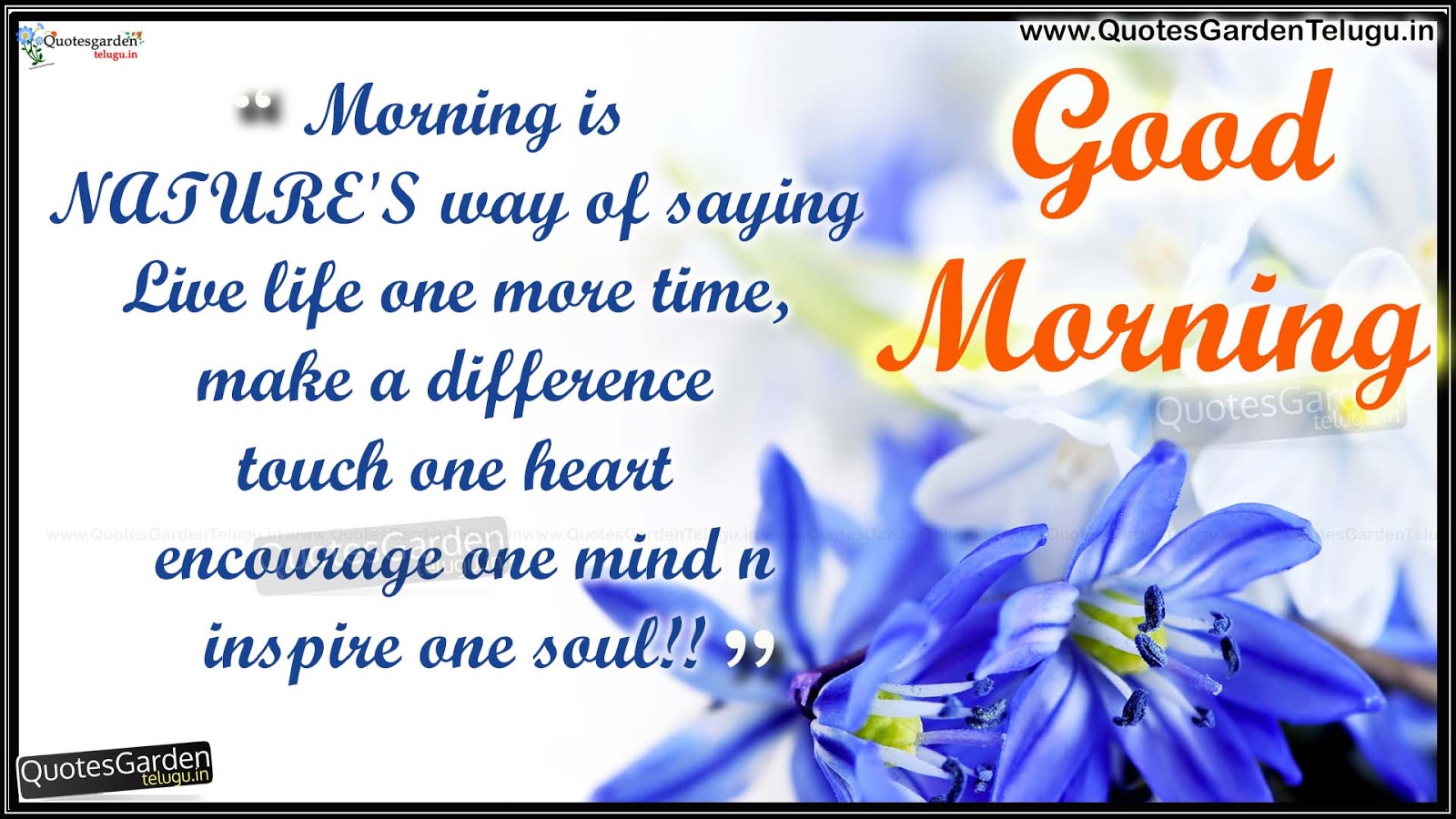 Latest Good morning Greetings status messages for friends | QUOTES ...