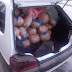 ΙΧΕ γεμάτο με 116 kg κάνναβης στο Μαυρονέρι Θεσπρωτίας[φωτό ΕΛ.ΑΣ]