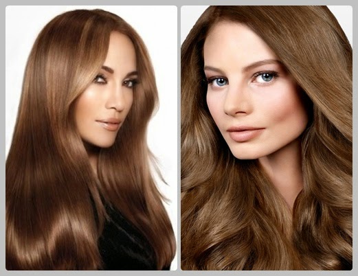 Light Brown Hair Color With Highlights - Hair Fashion Online