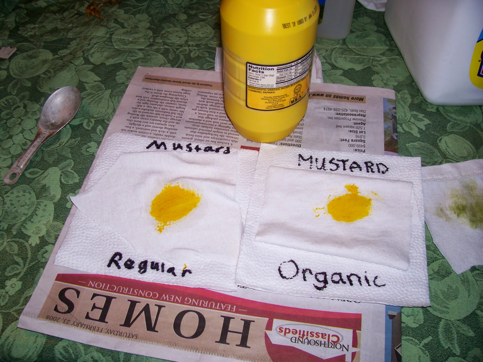 Classroom Freebies Too: Science Fair Printables