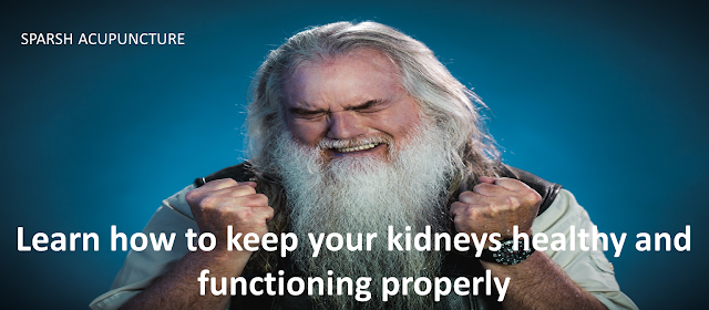 Learn how to keep your kidneys healthy and functioning properly.
