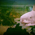 DEFENDING THE DISASTER OF JAWS 3D