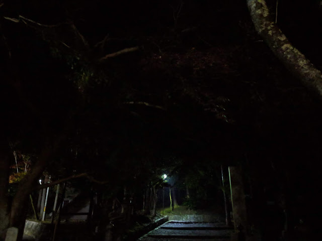 Pixel3で夜景撮影(2)