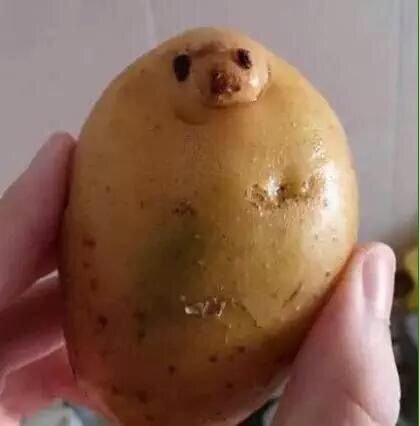 delhi-guy-sending-potato-messages delhi-guy-sending-potato-messages