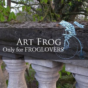 Art Frog   only for froglovers
