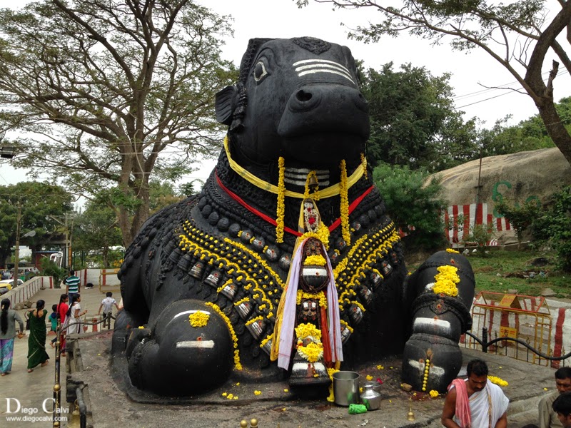 Mysore la ciudad del Ashtanga - Los Colores de la India - Vuelta al Mundo (4)