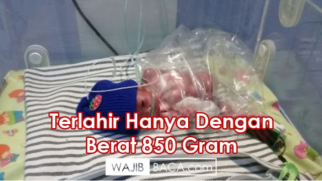 Bukti Anak yang Berbakti Pada Orangtuanya, Ikhlas dan Sabar Merawat, Videonya Menyentuh Bukti Anak yang Berbakti Pada Orangtuanya, Ikhlas dan Sabar Merawat, Videonya Menyentuh