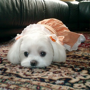 She is
                        Georgeous