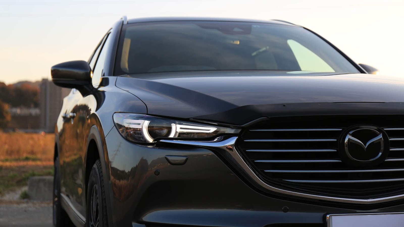 マクマ様専用 マツダ CX-8用 オーストラリアマツダ純正バグガード