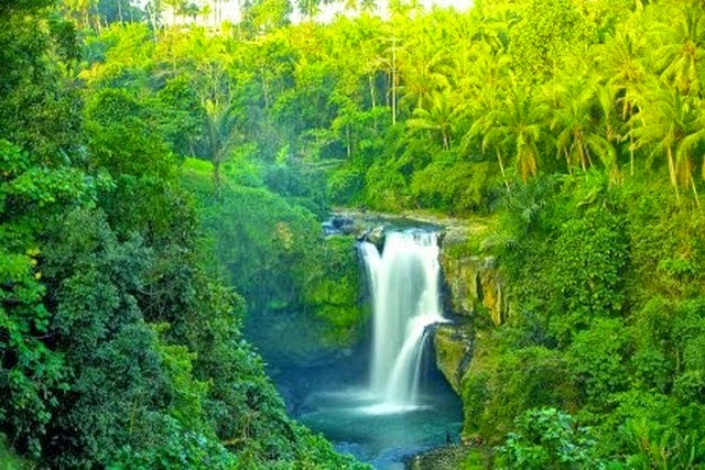 Mau Healing Sejati? Jelajahi 7 Air Terjun Paling Damai di Bali