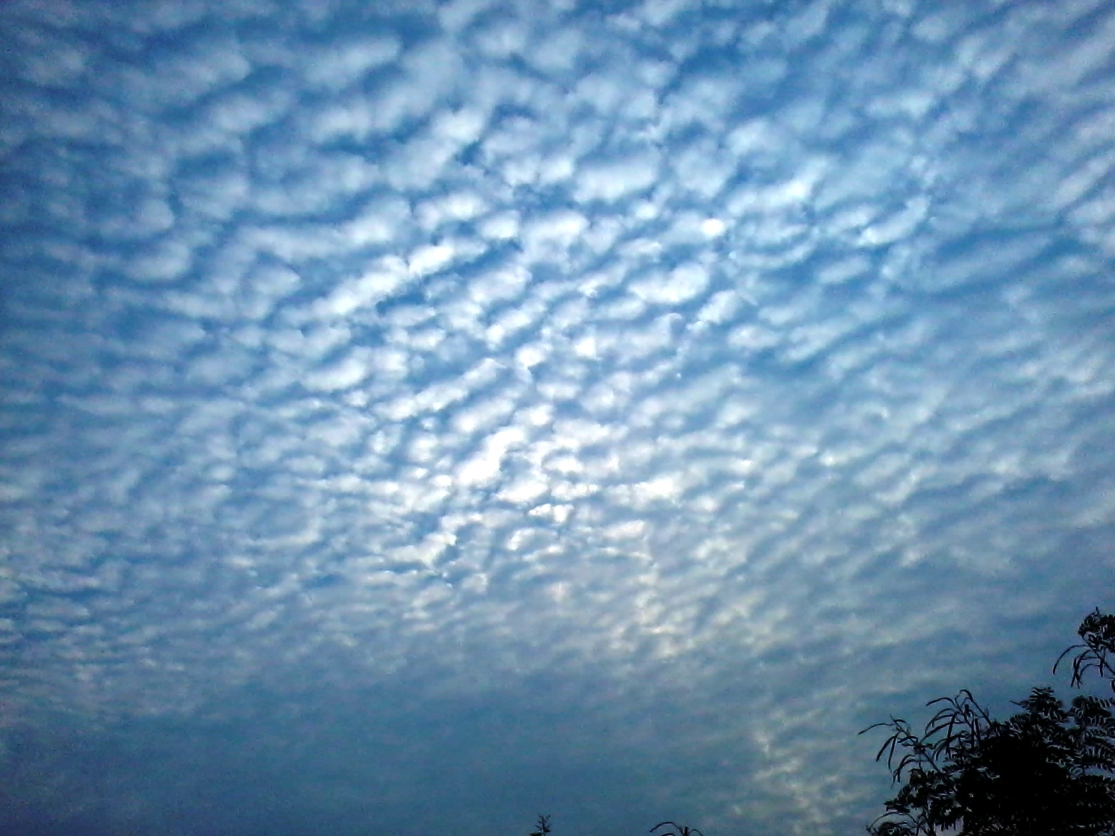 Blog of Sudhir Mishra, A Bolangir based Journalist The shinning and