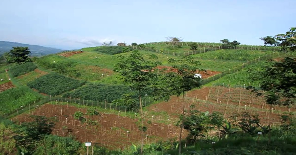Nature and Farming Conservation Agriculture in the Philippines
