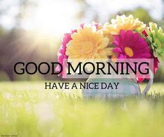 good morning flowers images