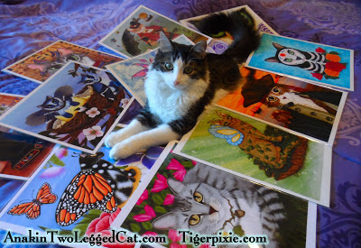 www.Tigerpixie.com Holiday Art Sale, Anakin The Two Legged Cat