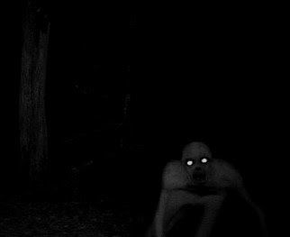 THE RAKE | QUEROMEDO