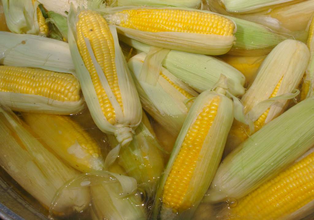 comidas tipicas de la Libertad Comayagua: 2015