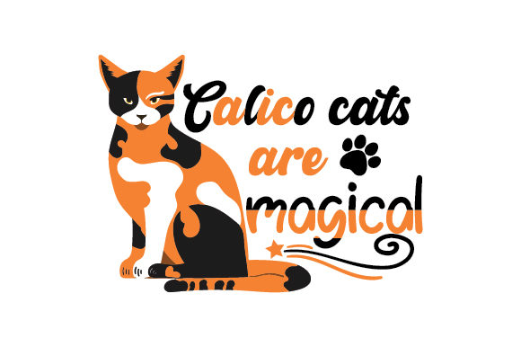 Calico Cats Are Magical