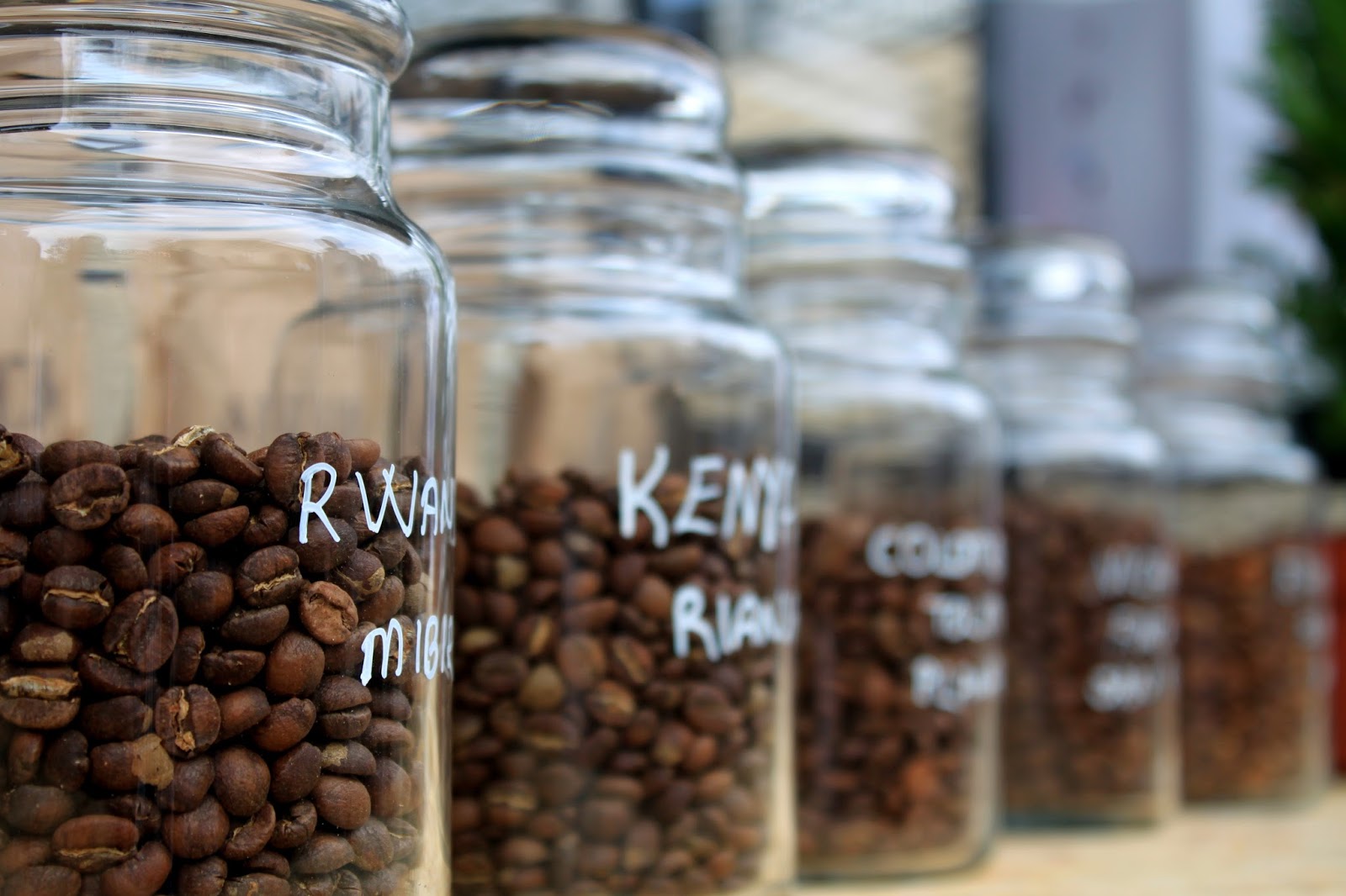 Nazonun Defteri 2016