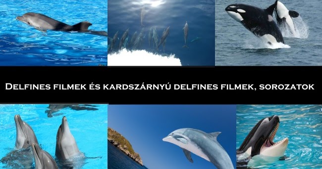 Delfines filmek és kardszárnyú delfines filmek, sorozat - Régi Új Filmek