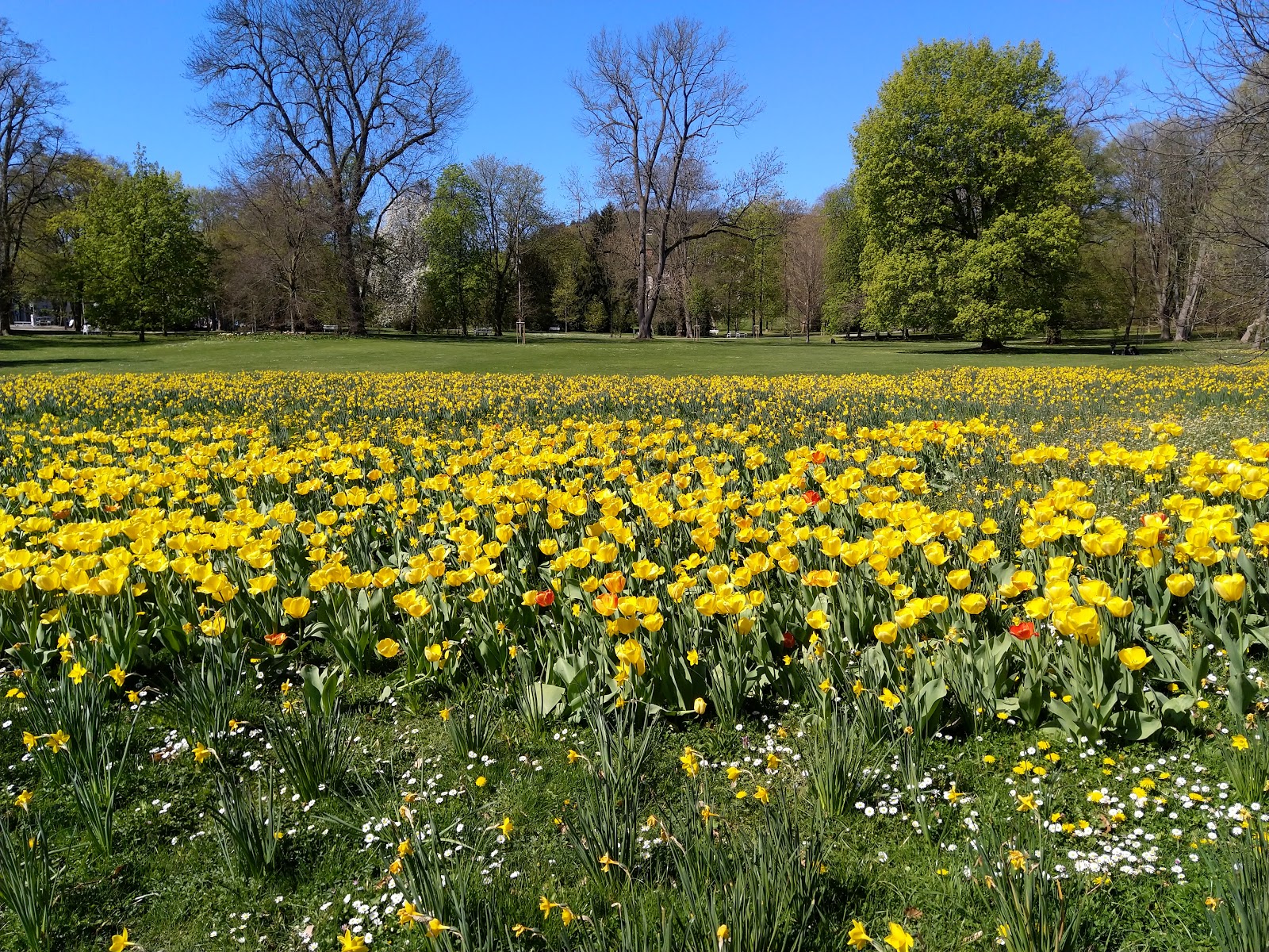 ismerősök bad nauheim