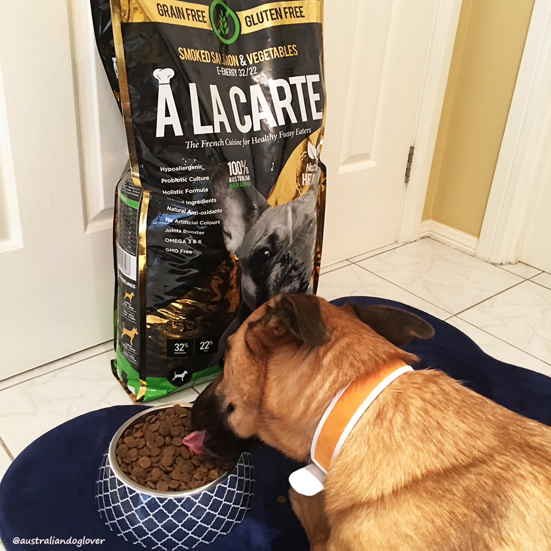 A La Carte GrainFree Dog Food Review Australian Dog Lover