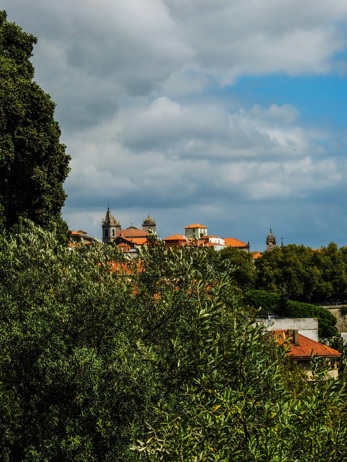 Terracotta roofs and towers showing over tree tops in Porto, Portugal.