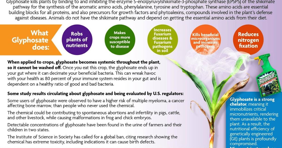 лаки блоки 1. майнкрафт farmers delight. 103 поле 0. Mystical agriculture пьедестал. Pam's crops.