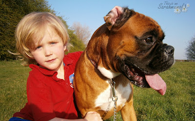 long blond haired boy and beautiful boxer dog