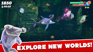 Hungry Shark APK MOD Hungry Shark World Apk MOD