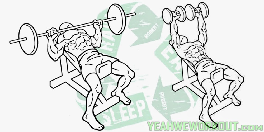 Top 5 Best Chest Exercises