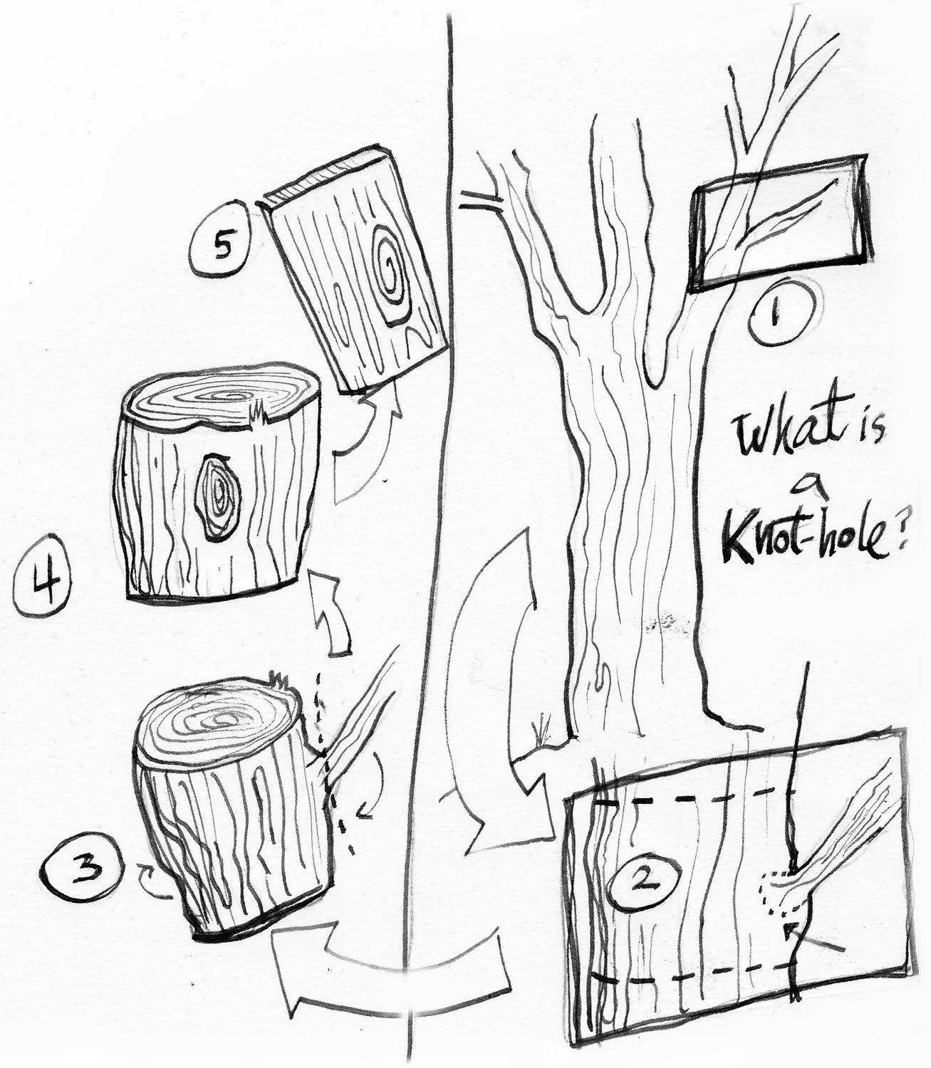 illustrationISM Tree Knots explained...