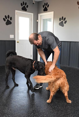 Greatmats rolled rubber flooring for dog areas Greatmats rolled rubber flooring for dog areas dog daycare
