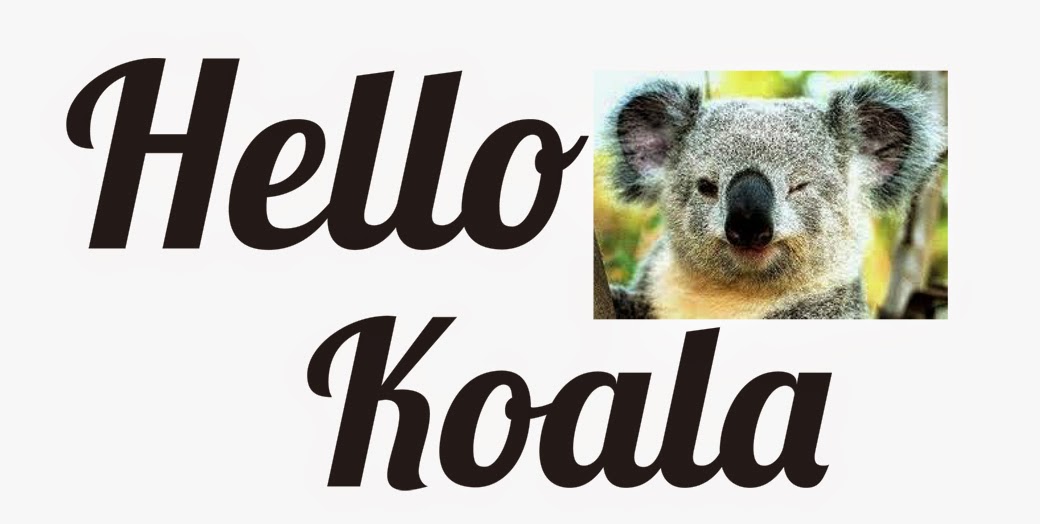 Hello Koala!